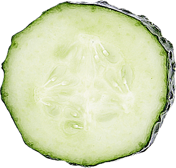 cucumber-slowjuice-juicekur